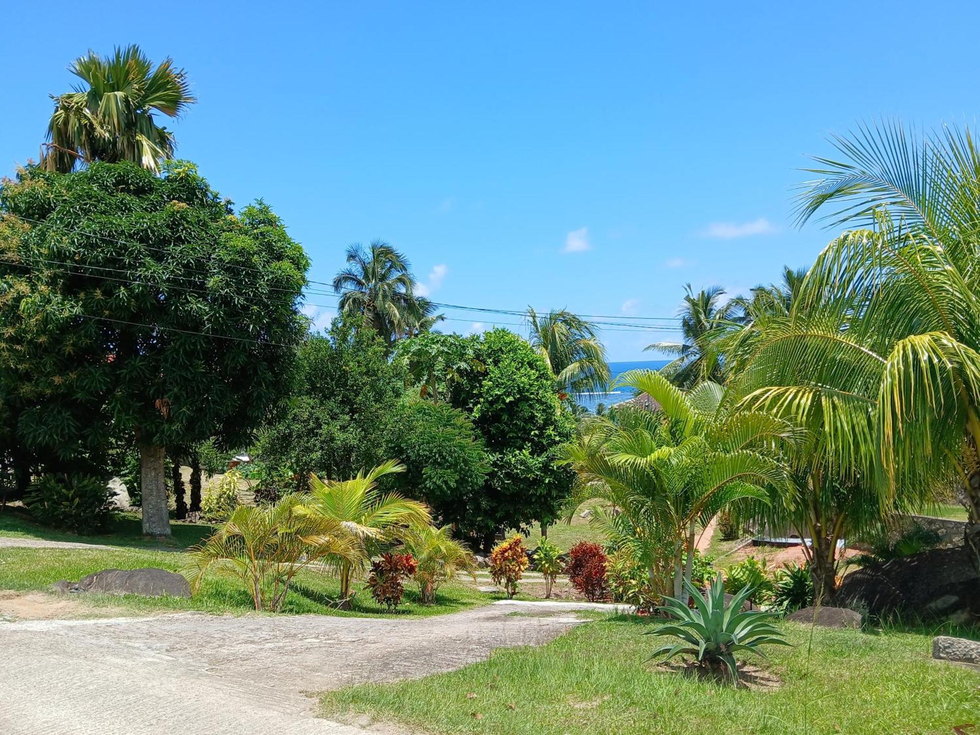 L'Echappee Du Cap Apartment Pointe Au Sel Bagian luar foto